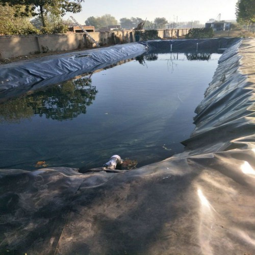 古浪養牛場2mm沼液池土工膜 防滲防腐土工膜產品批發價