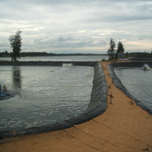 蓮藕池防滲膜 1.8mm防滲膜生產廠家