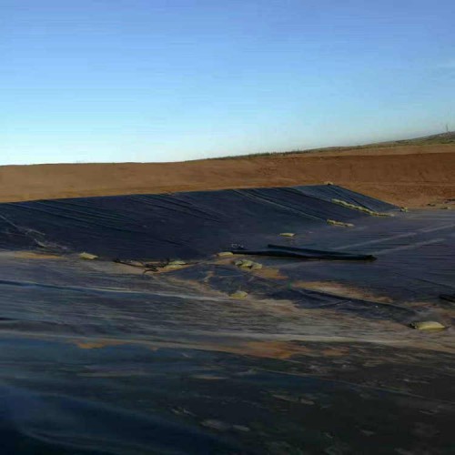 滲瀝液池土工膜貨源充足