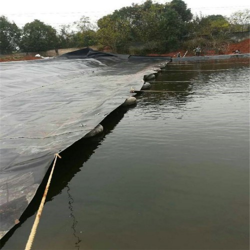 生活垃圾填埋場的封場雨水導排層采用1.0mm土工膜