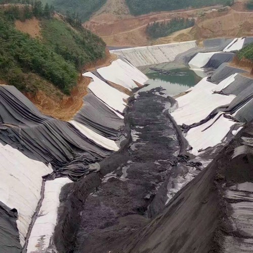 垃圾場土工膜供應