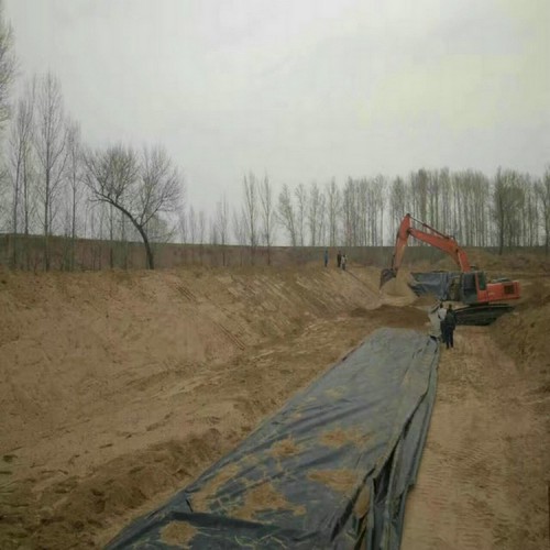 尾礦壩渣場防滲2mm土工膜源頭生產廠