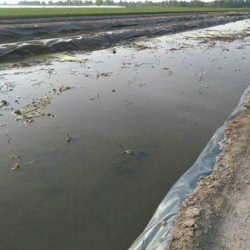 建筑垃圾防滲膜 1.4mmHDPE土工膜經久耐用