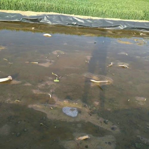 應急池防滲用1.5mmHDPE防滲膜廠家批發