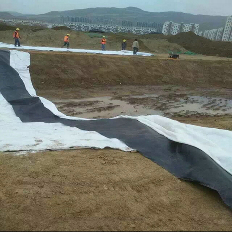 尾礦底襯HDPE土工膜 1.8mmHDPE土工膜性能穩(wěn)定