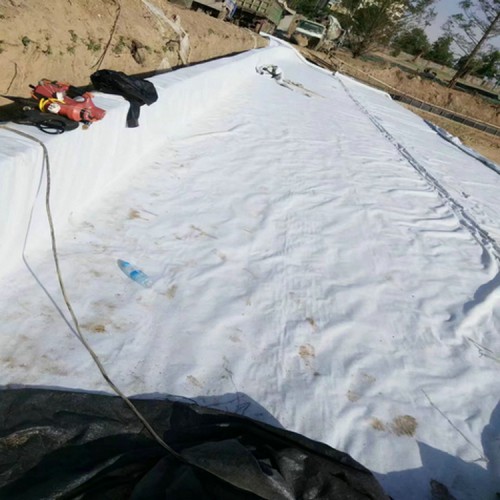 平邑藕池專用防滲膜 土工膜恒瑞商品批發價