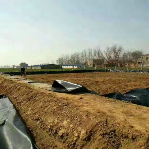 水庫大壩水利防滲HDPE土工膜可量尺定做
