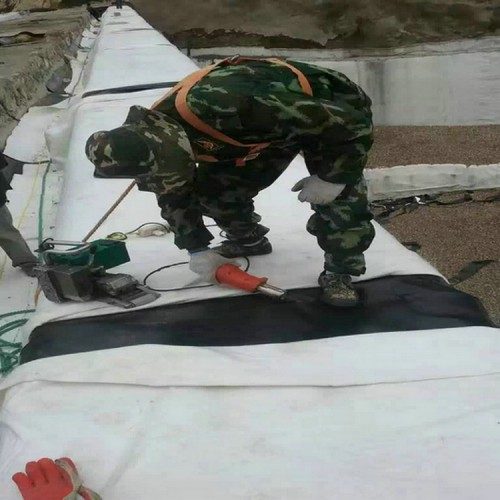 惠州養豬場厭氧塘0.5mm土工膜 0.8mm土工膜精選廠家