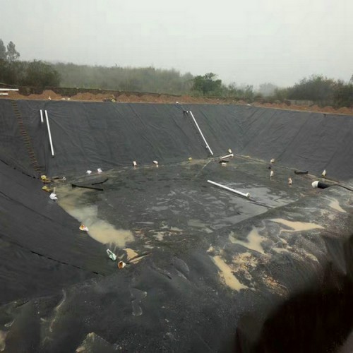 垃圾場防滲膜 防滲膜廠家渣場尾礦防滲膜