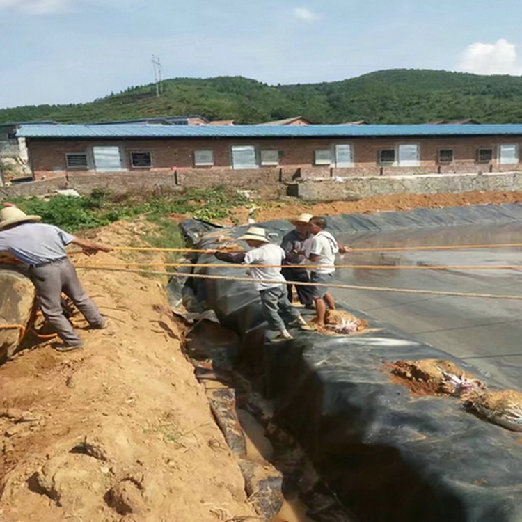雨污分流防暴曬黑色HDPE土工膜1.0mm
