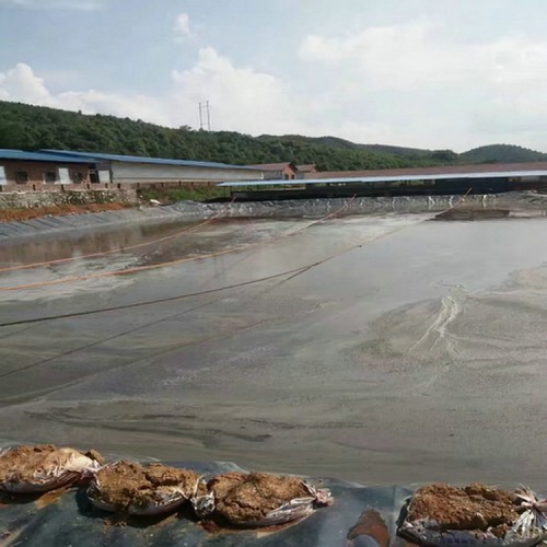 建筑防滲用1.5mmHDPE防滲膜防潮 0.5mm土工膜產品批發價