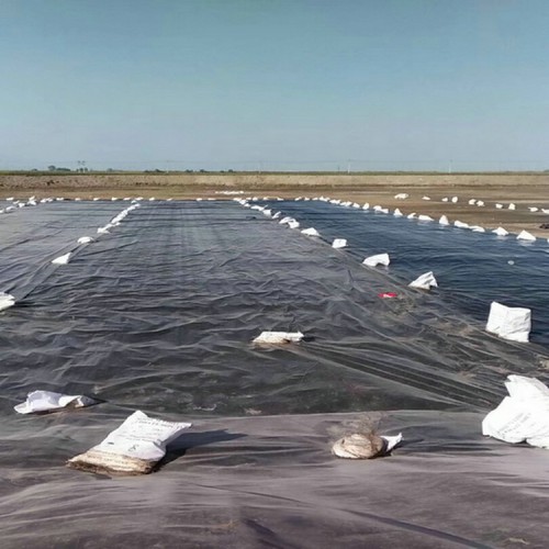 化工廠土工膜 1.5mm防滲膜經久耐用