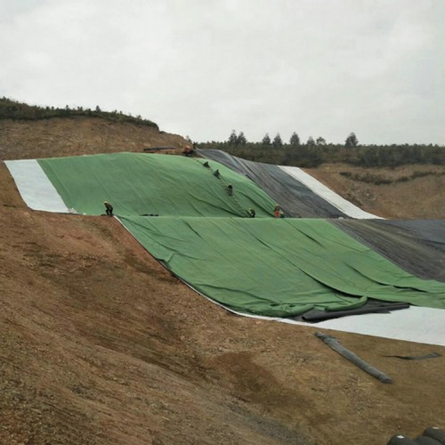 調節池防滲膜 污水處理池防滲膜 橡膠防滲膜
