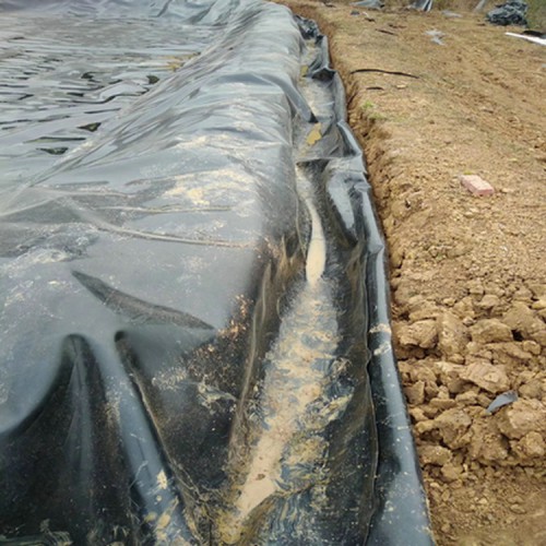 環保固體廢棄物土工膜精選廠家