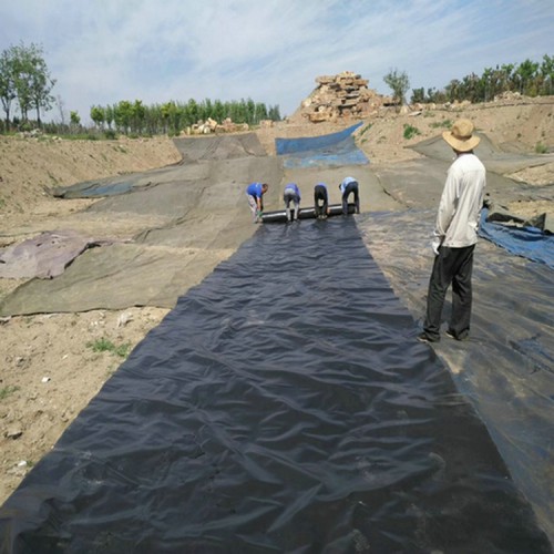 蘭州復合土工膜廠家 景觀湖防滲膜 廠房防潮防滲土工膜