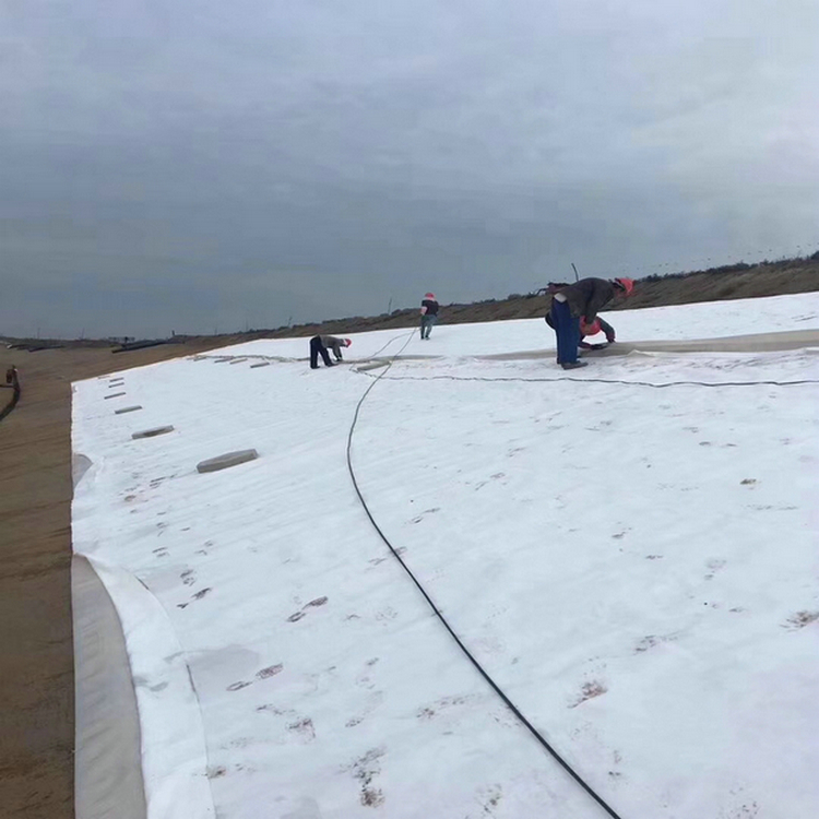 化學反應池防滲用1.0mm土工膜 0.6mmHDPE防滲膜優質商品