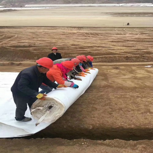 抗紫外線15mm糙面HDPE防滲膜 1.9mm防滲膜廠家批發(fā)價(jià)