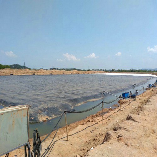 金屬冶煉廠防滲1mm防滲膜精選廠家