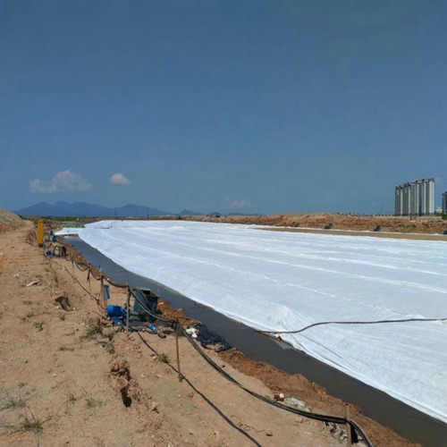 蓄水塘土工膜 2.0mm防滲膜土工布恒瑞