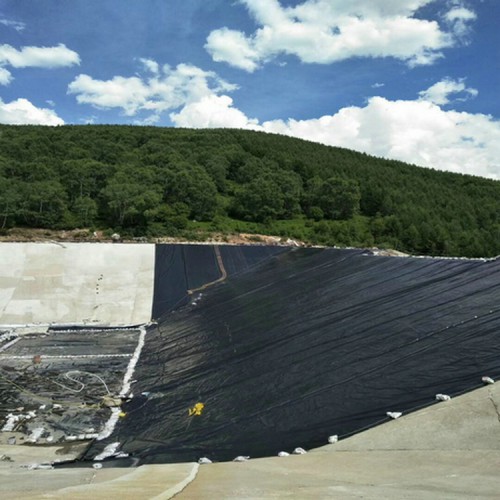 畜牧業(yè)氧化塘單毛面HDPE土工膜 0.30mm防滲膜廠家批發(fā)價