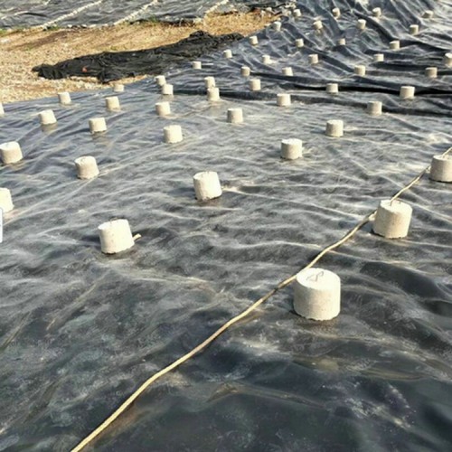 養(yǎng)殖場厭氧塘防暴曬糙面HDPE防滲膜 2.0mm防滲膜可量尺定做