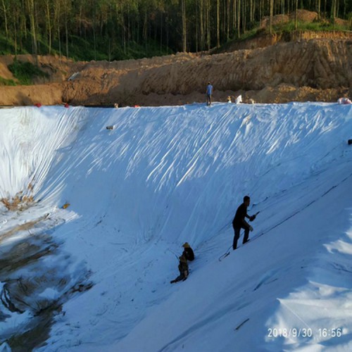 0.15mmHDPE土工膜 1.0mm防滲膜填埋場覆蓋膜