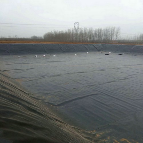 水產(chǎn)養(yǎng)殖防滲膜 沉淀池防滲膜 防滲膜拼接