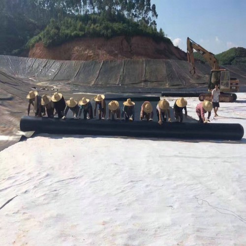 畜牧業(yè)厭氧塘雙色HDPE防滲膜 0.8mmHDPE防滲膜貨源充足