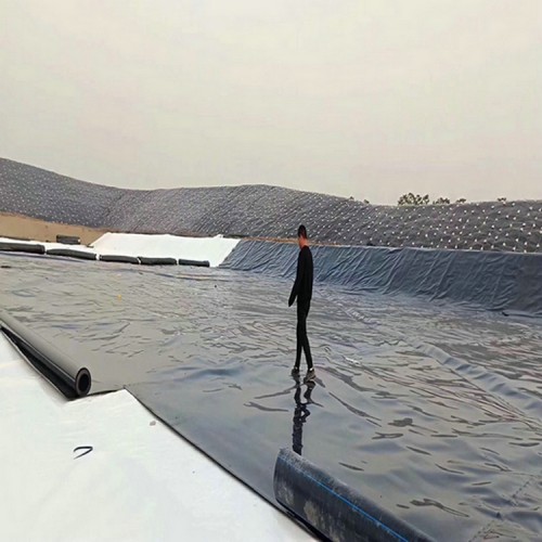 防滲膜設(shè)備 土工膜價(jià)格防水土工布