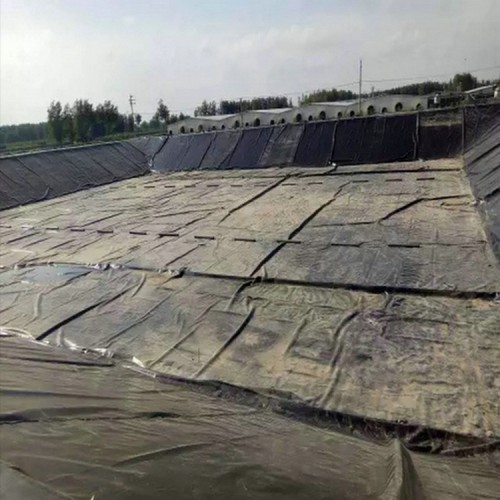 仙桃耐老化2.0mm雙糙面防滲膜 防水復(fù)合土工膜價格 綠化草坪防水土工膜