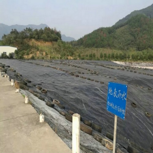 hdpe復(fù)合土工膜 土工膜價(jià)格沼氣池防滲膜
