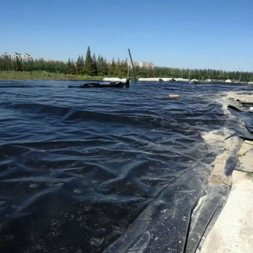 生活污水池防滲用1.2mmHDPE防滲膜 0.5mmHDPE土工膜產(chǎn)品批發(fā)價(jià)