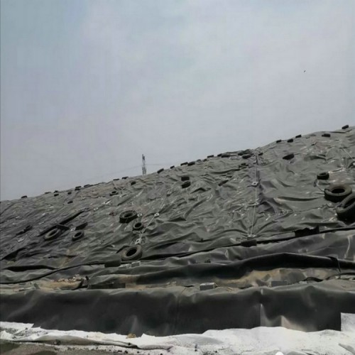 防滲膜價(jià)格源頭生產(chǎn)廠