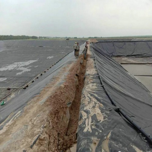 種植蓮藕防滲膜廠家批發價