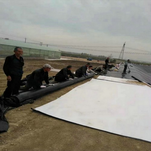 垃圾覆蓋膜1.5mmHDPE土工膜廠家廠家自產自銷