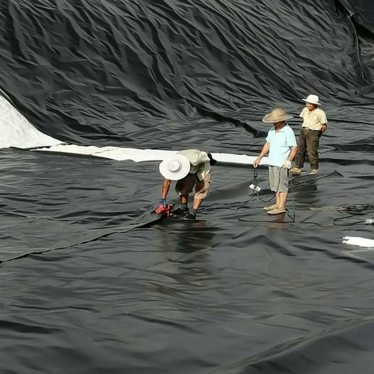 海水養殖池HDPE土工膜 0.30mmHDPE防滲膜優質商品