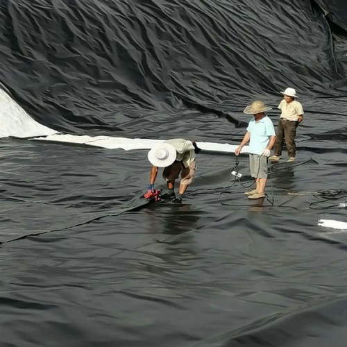 定西煉油廠土工膜 膨潤土防水毯廠家廠家批發價