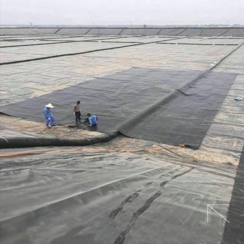 養(yǎng)豬場沉淀池土工膜