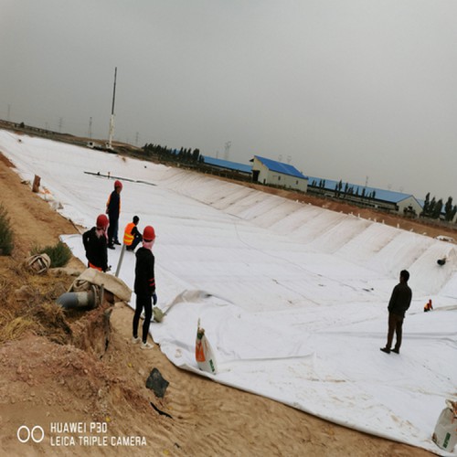 養(yǎng)殖沼液池防滲土工膜 0.7mm土工膜廠家自產(chǎn)自銷