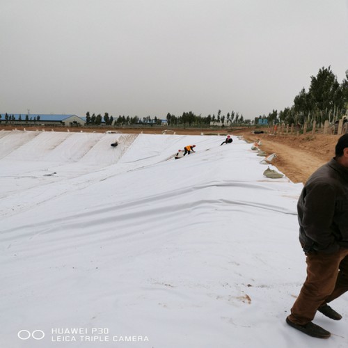 抗紫外線2.0mmHDPE土工膜 魚塘養殖土工膜 藕池防滲膜廠家
