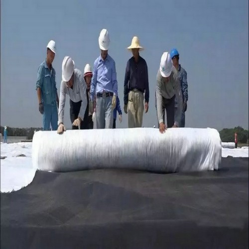 鋪膜覆蓋垃圾填埋場HDPE防滲膜生產(chǎn)廠家
