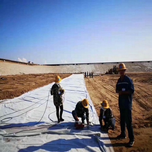 湟中養豬場1.0mm沼液池土工膜 膨潤土防水毯優質商品