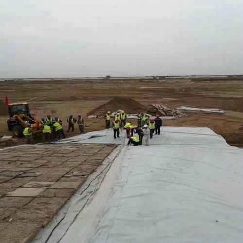 1.2mm污水池土工膜 恒瑞牌土工膜 養牛場沼氣池防滲膜廠家