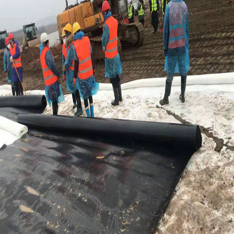 尾礦壩防滲用2mm防滲膜生產廠家