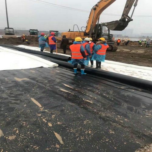hdpe土工膜施工規范 防滲膜供應商 畜牧業沼氣池1.5mm單毛面土工膜