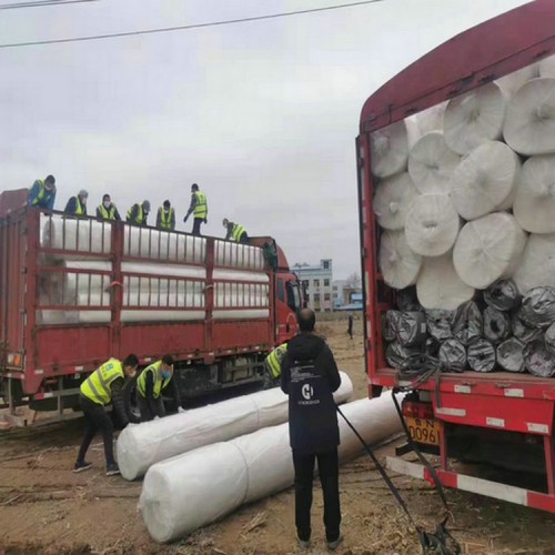 豬場(chǎng)沼氣池防滲膜性能 養(yǎng)殖場(chǎng)防滲膜 藕池防滲膜