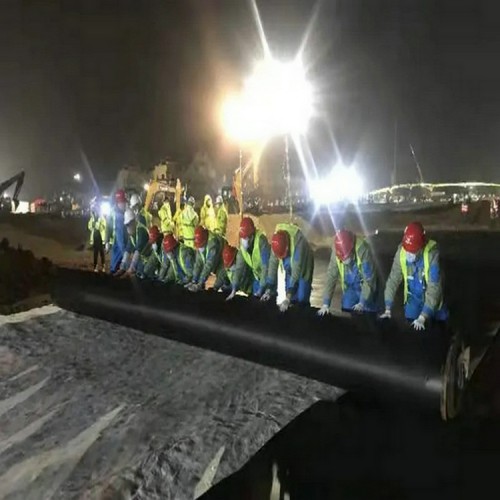 東山0.20mm防滲膜 防滲土工膜優質商品