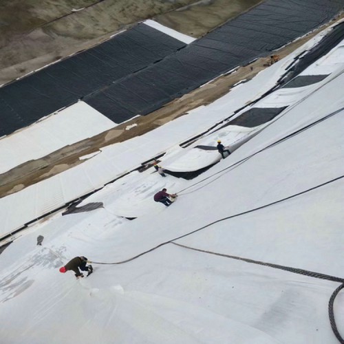 蓮藕池可以養(yǎng)殖什么