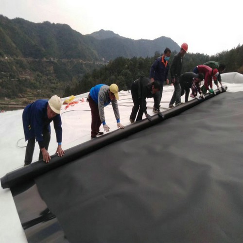 藕池專用HDPE土工膜 纏繞膜復(fù)合防滲膜