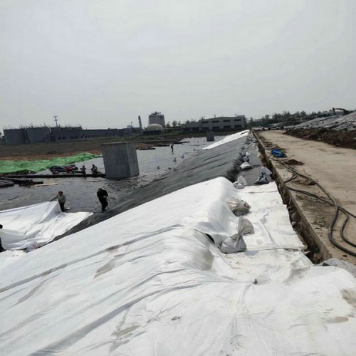 磷化工尾礦壩防滲膜優(yōu)質(zhì)商品